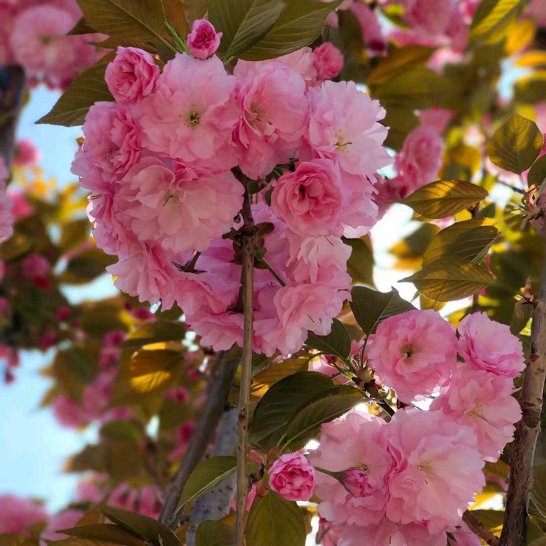 平平淡淡的幸福