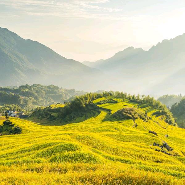 ！！这扯淡的人生