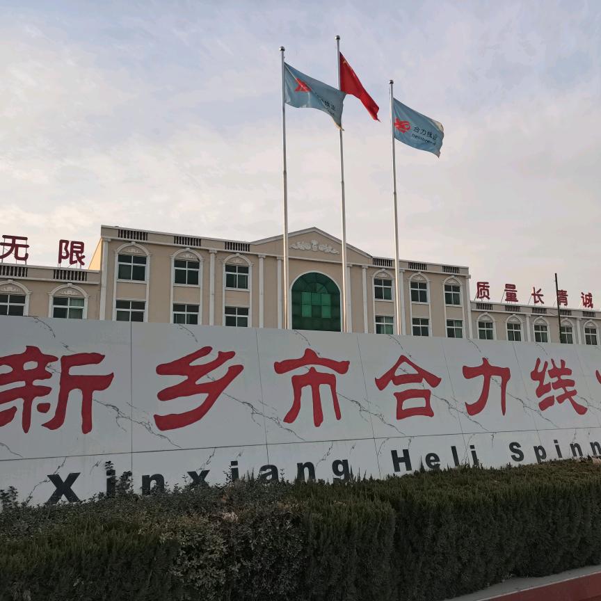 新乡市合力线业有限公司