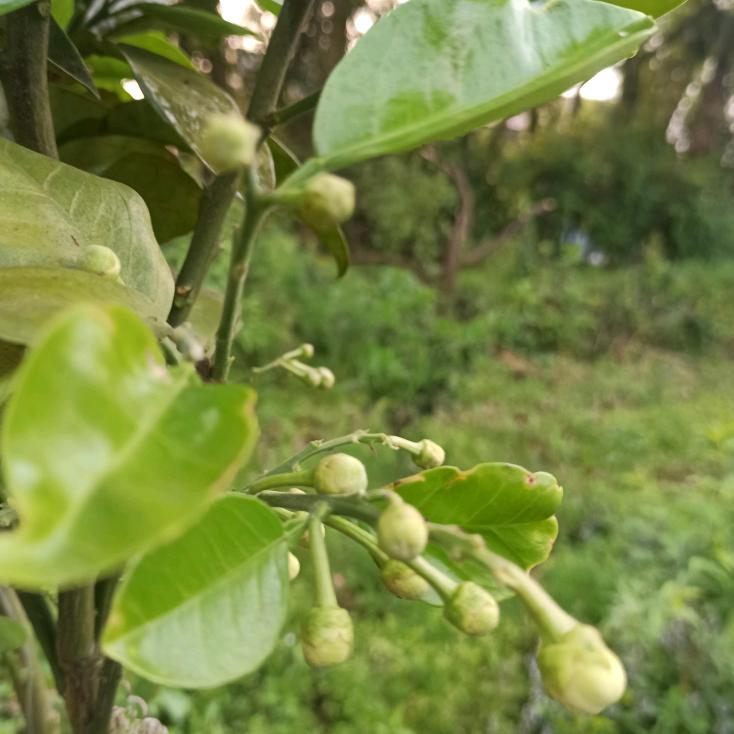 冉家坪农村淘店