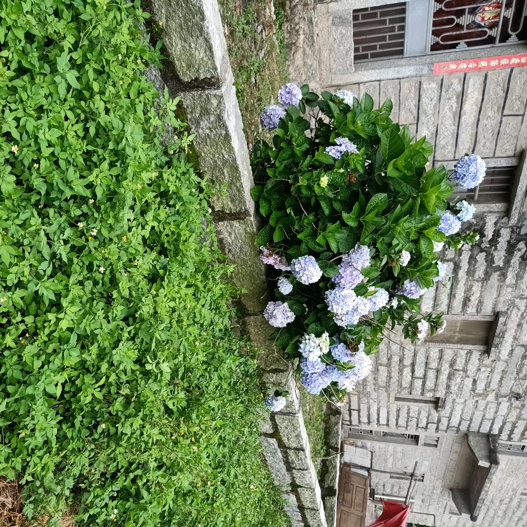 错的缘分