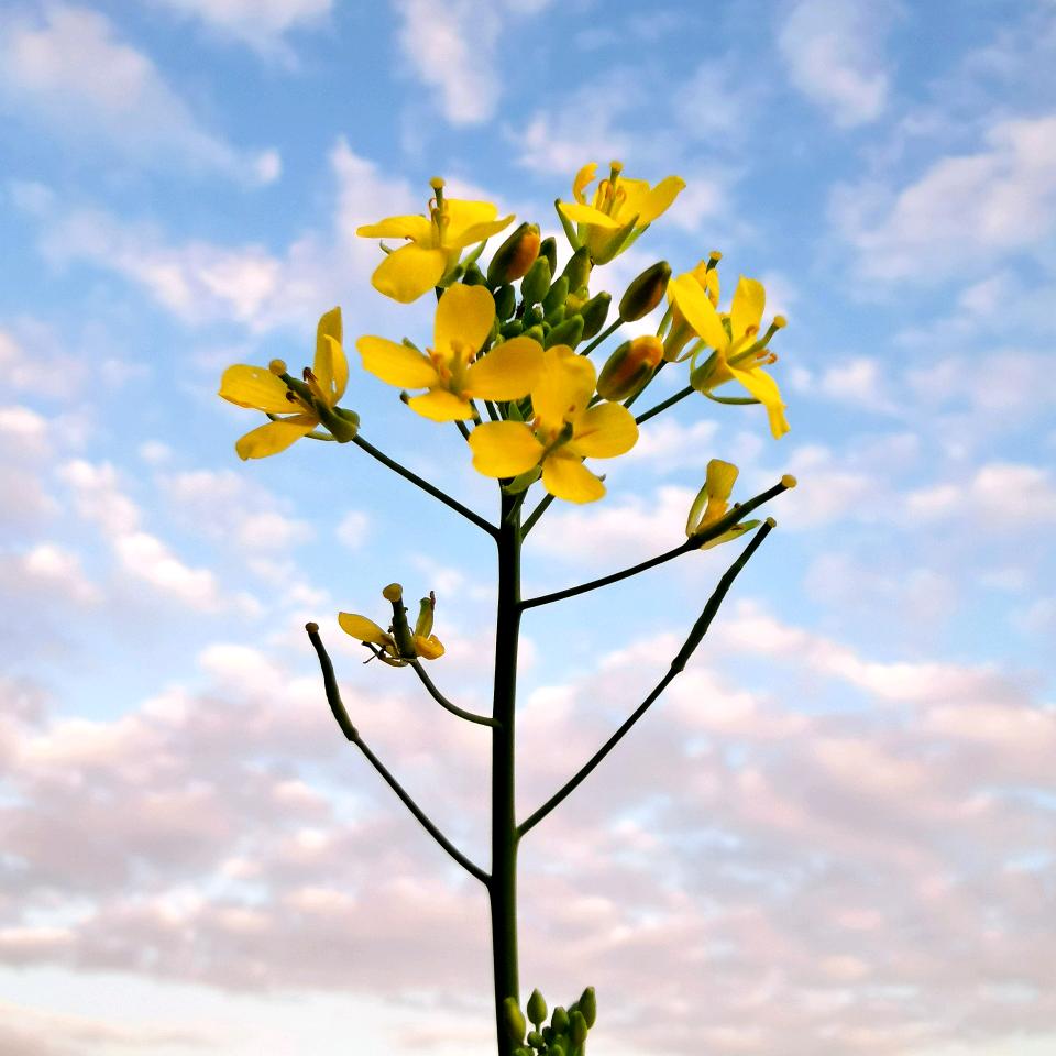 🌈 细水...长流
