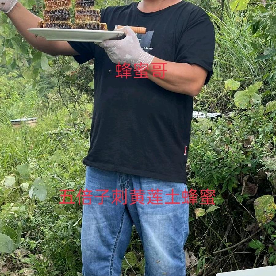 大方县涌进蜜蜂养殖场