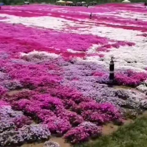 王建