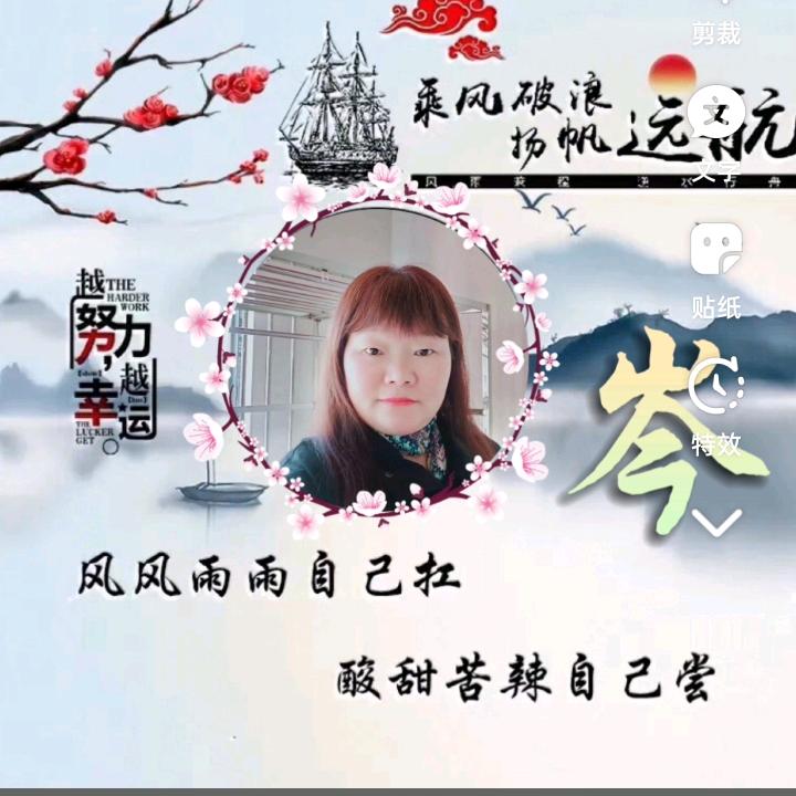 笨笨鼠 🎄过好每一天 🍃