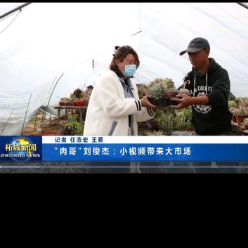 🔥柘城肉哥🔥梁庄多肉花卉基地欢迎您…