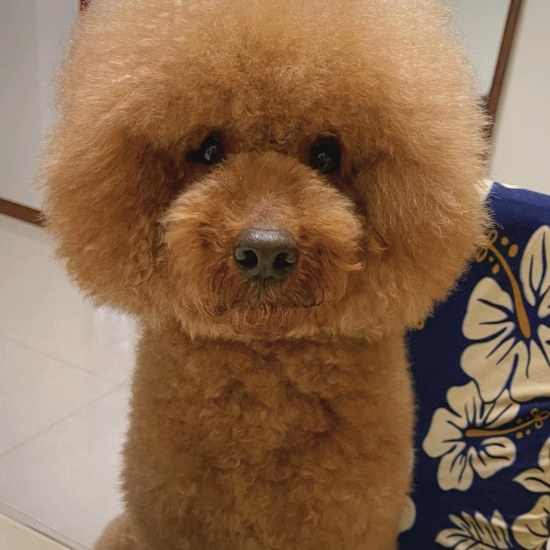 郑则仕