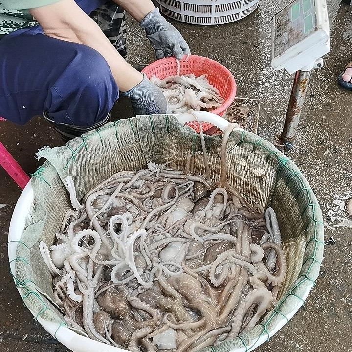 鸿成食品经营部