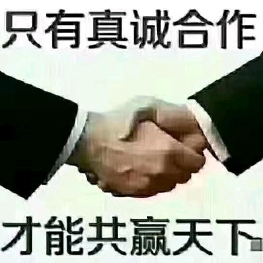 漂泊的海哥