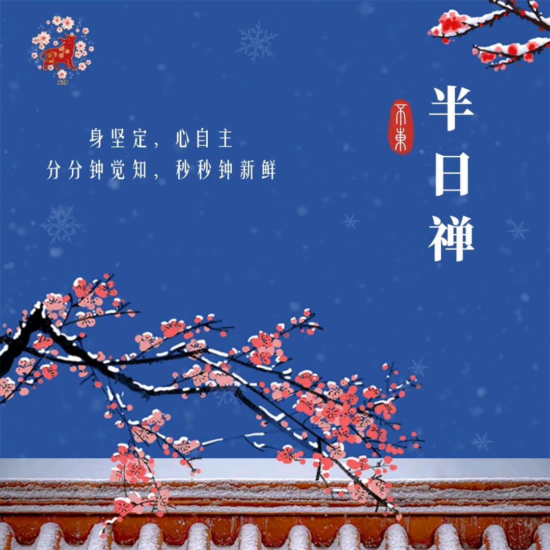 磊磊&国学经典伴成长