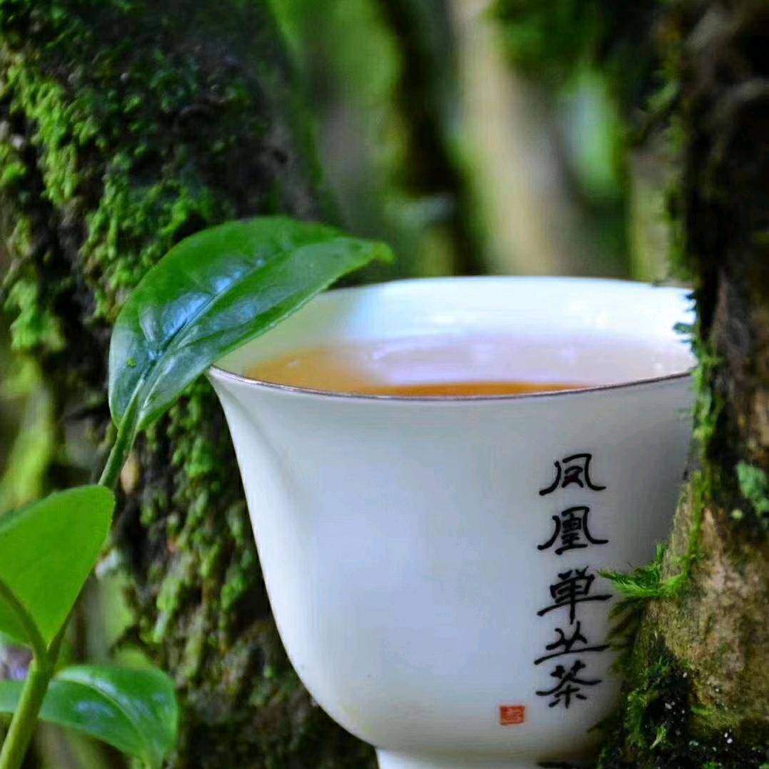 YAOJlAREN