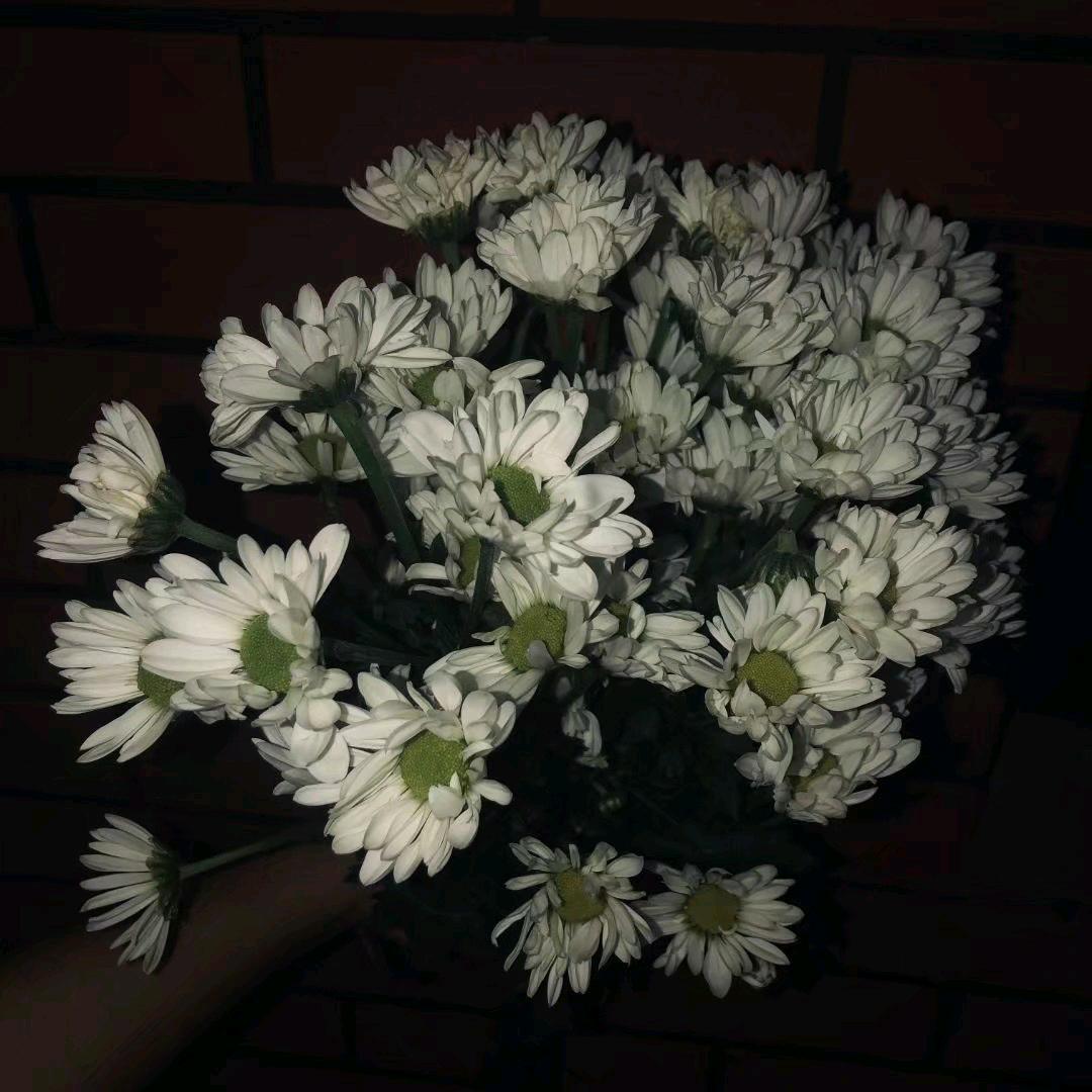 我不在