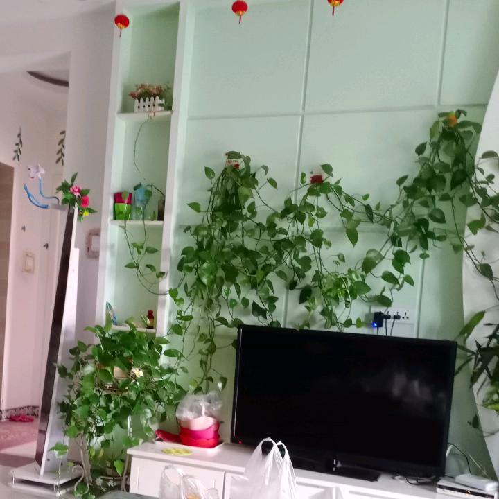 专业维修订做保温车箱