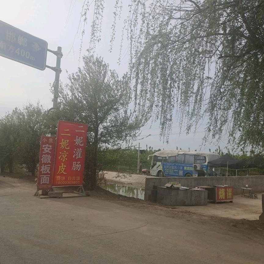 二妮凉皮（每天上午直播）