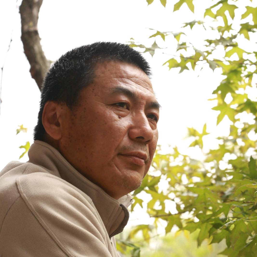 泰山老谢