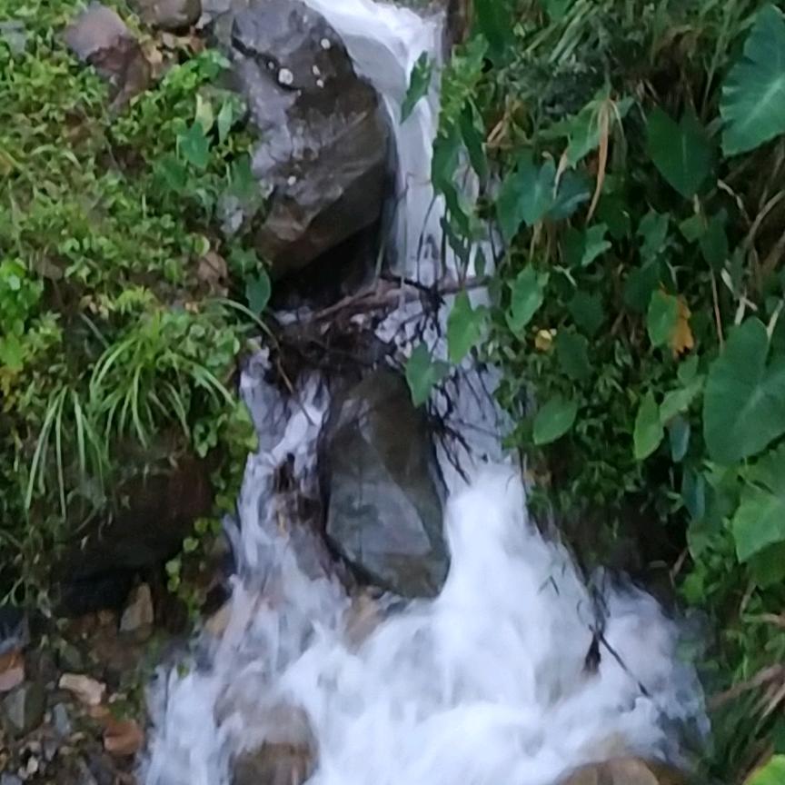 寻仙战云台钱多多