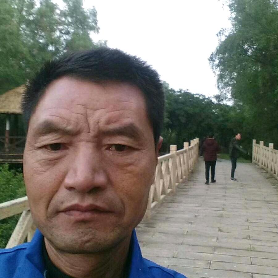 树枝有缘