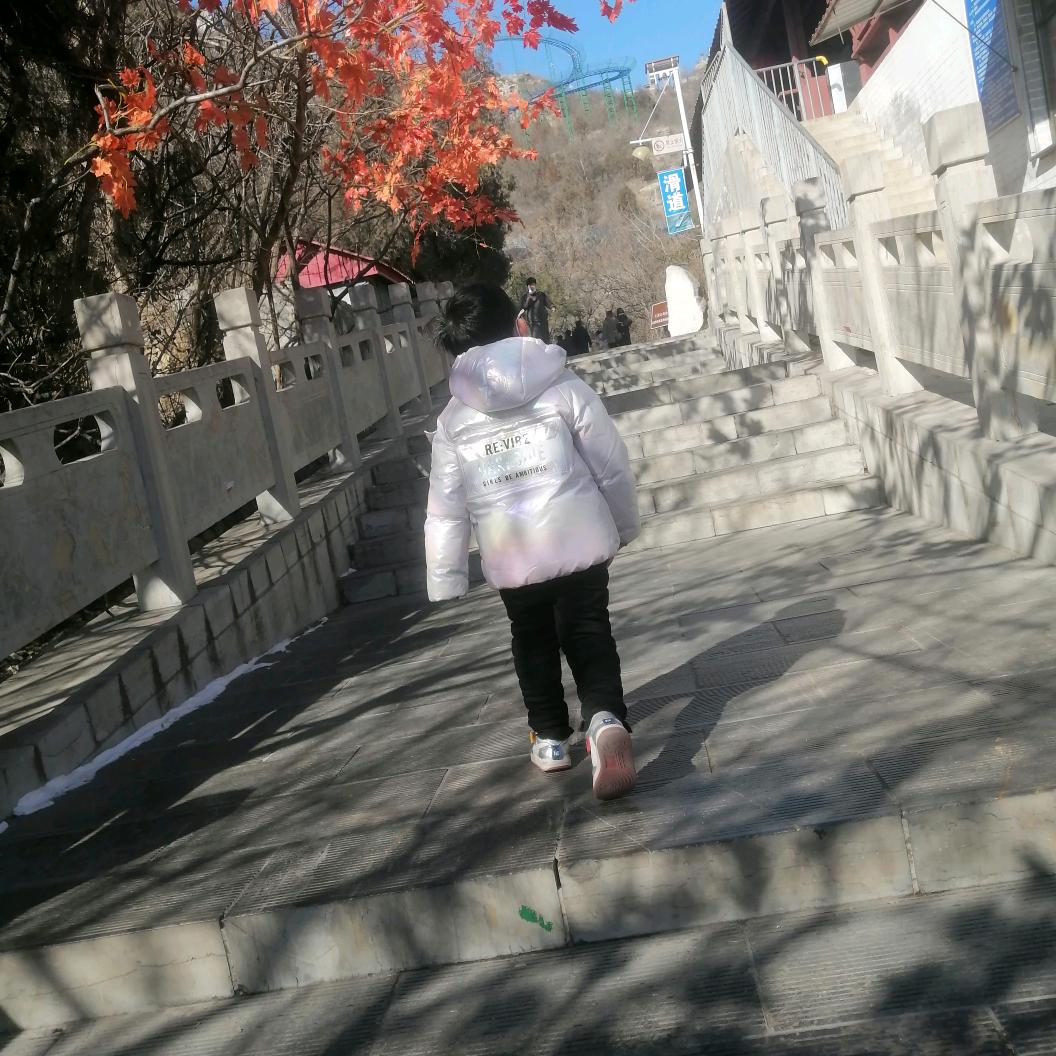 好菇娘の当自强