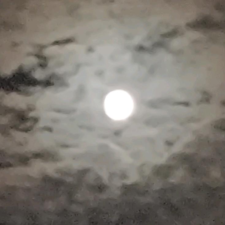 沐潇