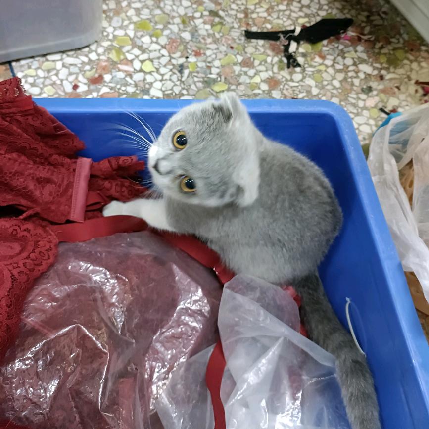 彩虹之星🥰🥰⁵¹¹