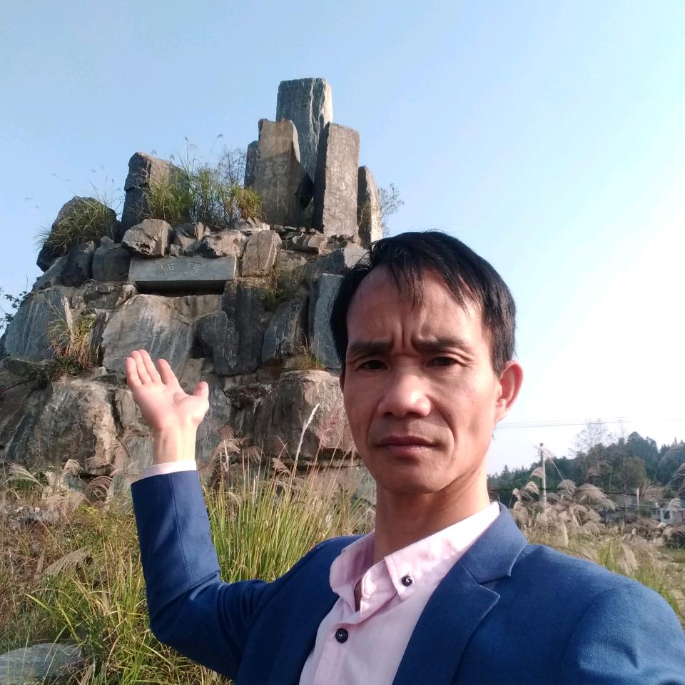 胖大海