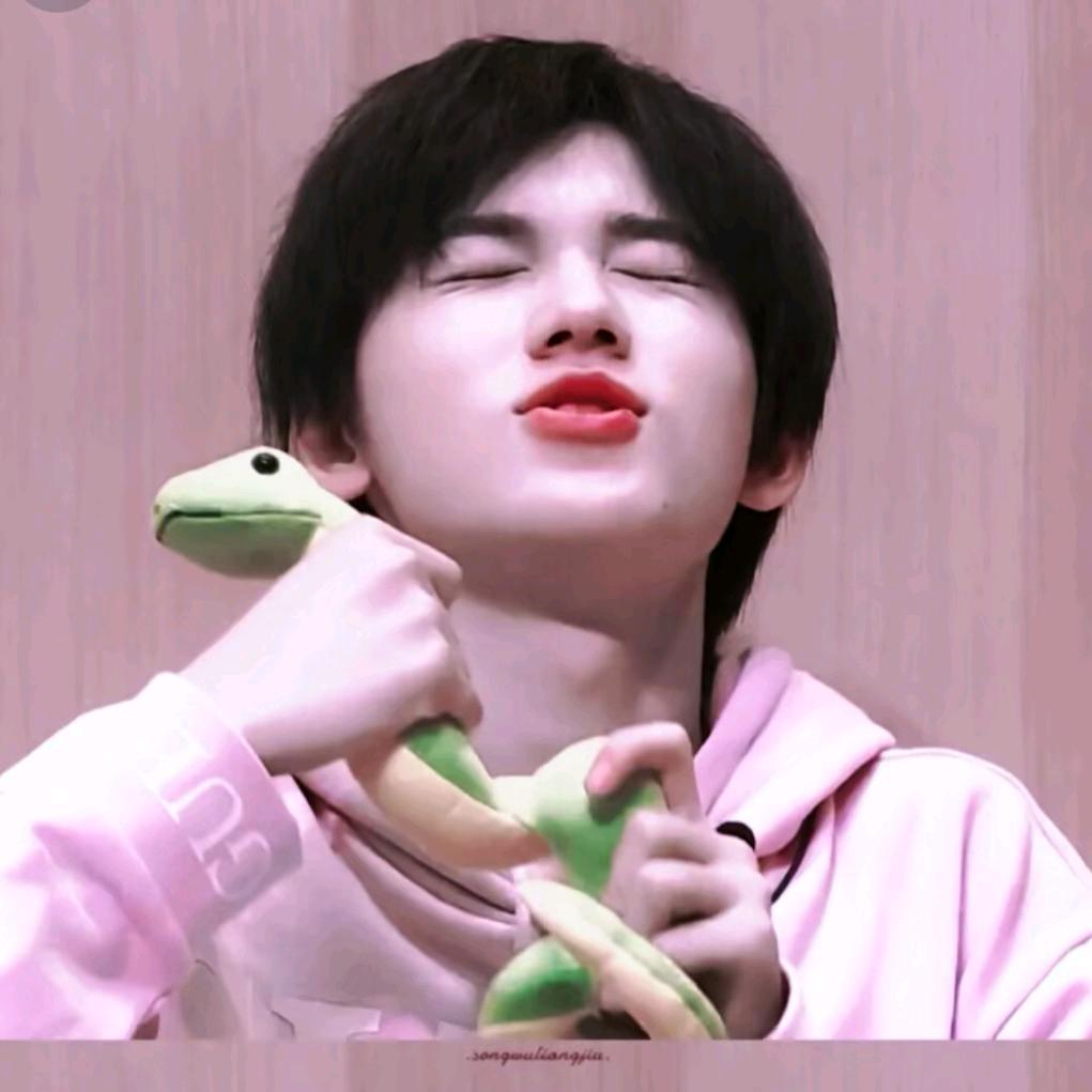 张❤️月