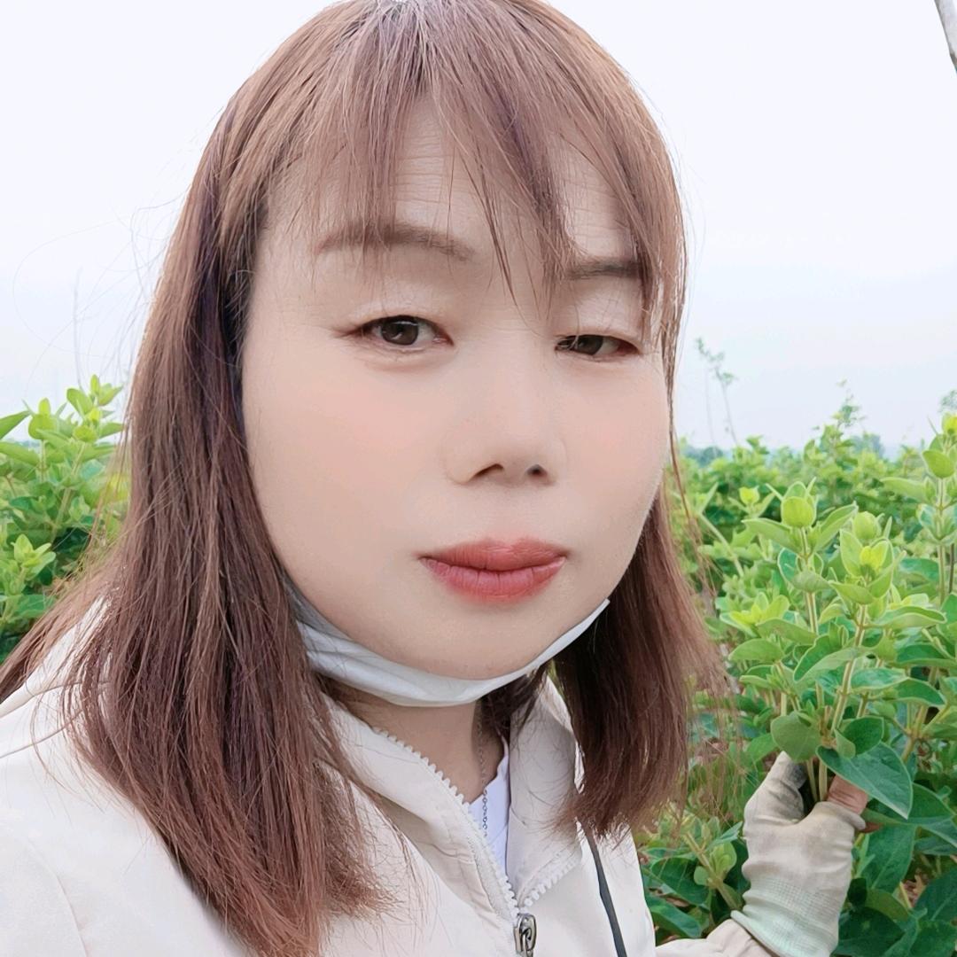 音乐