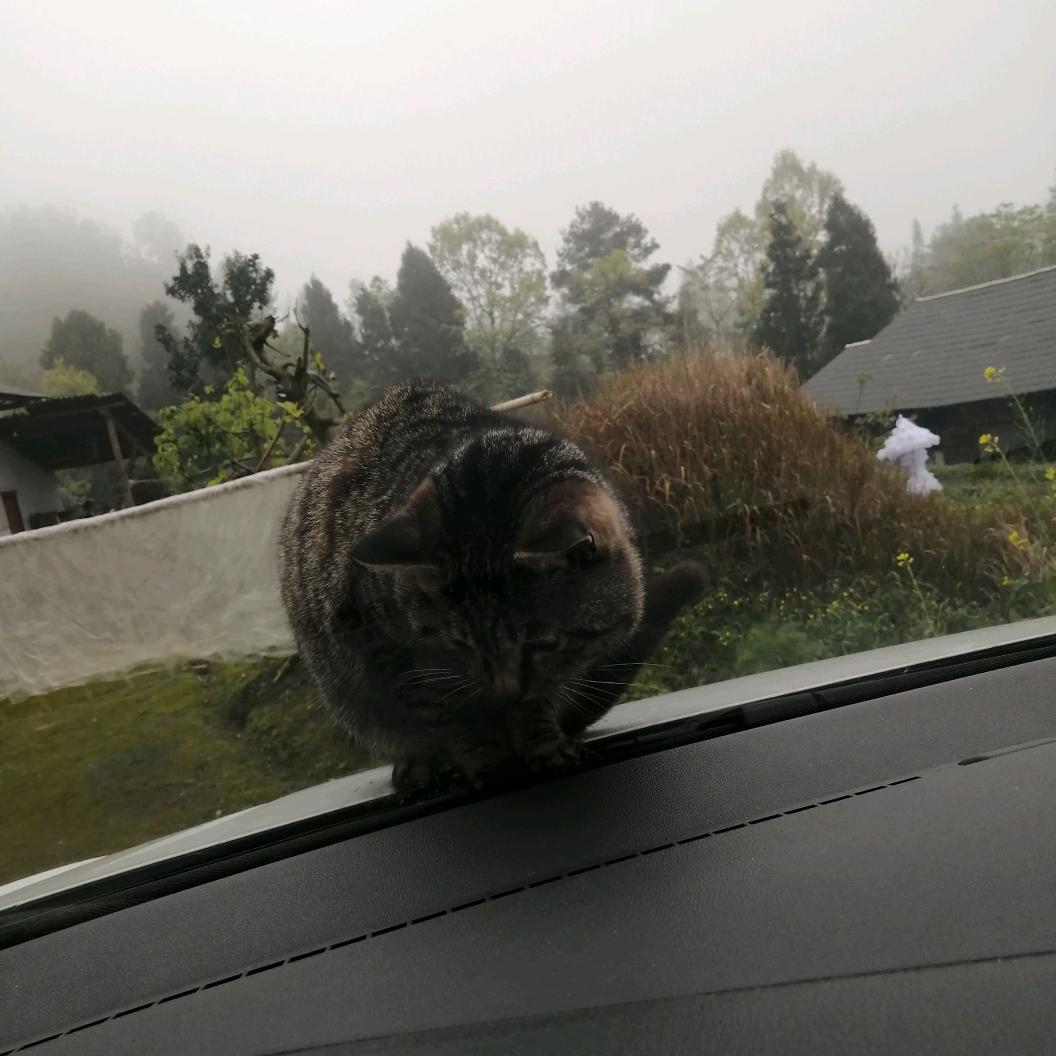 RJ爱你哦
