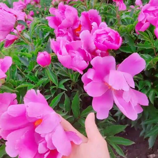 因为有你