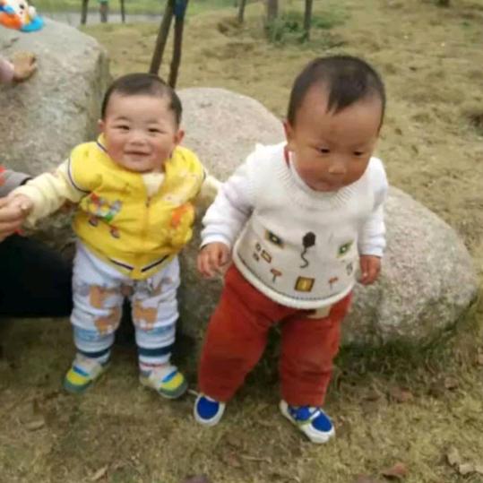 “忘忧草”