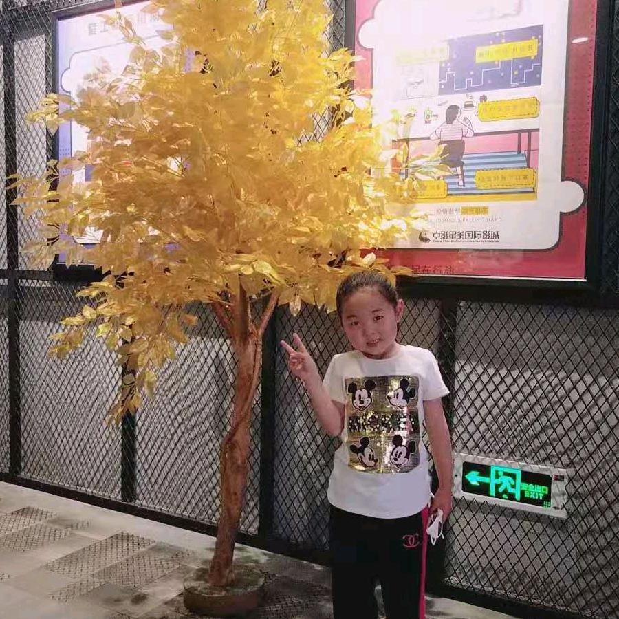 种子农药除草剂