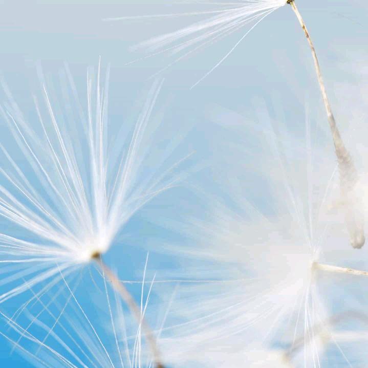 平安是福💞🔅