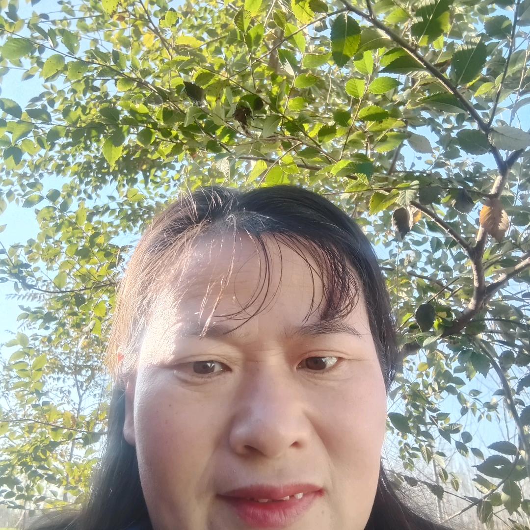 玲姐