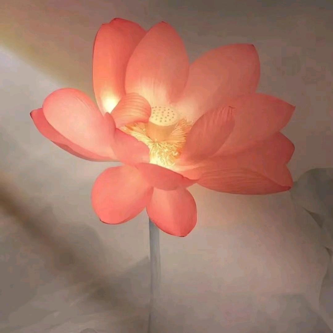两个宝贝