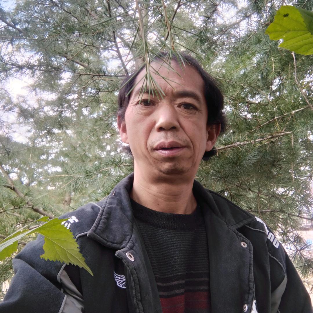 成哥（早上6点36开播）（周二）