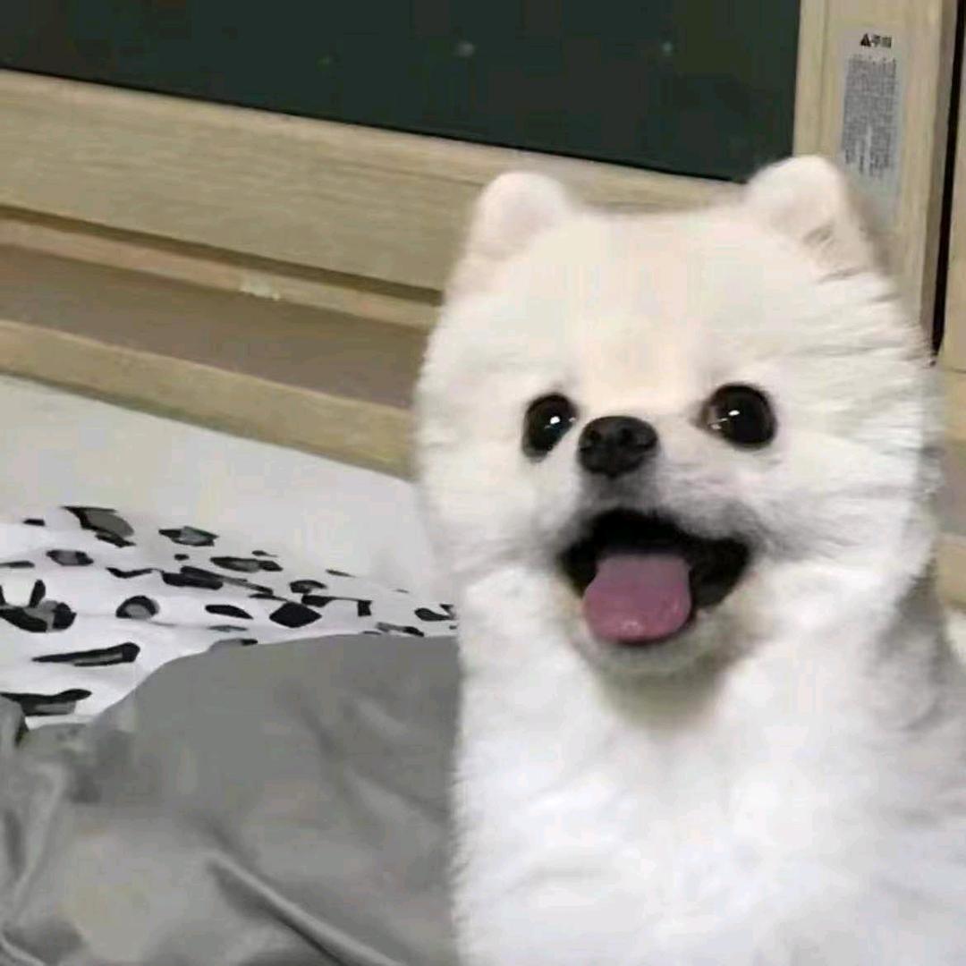我睡觉了