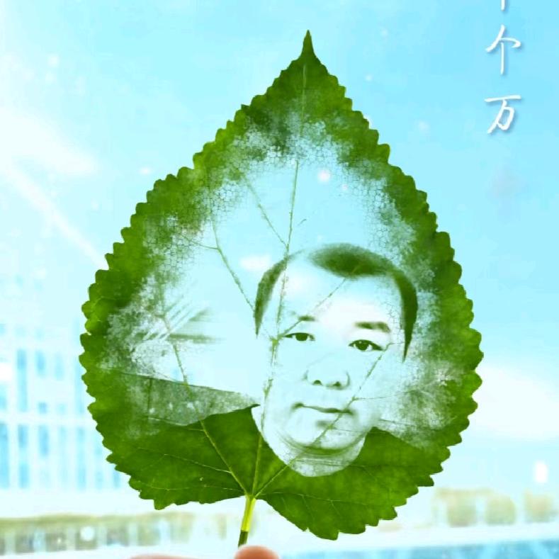 记得那天（小李货运）