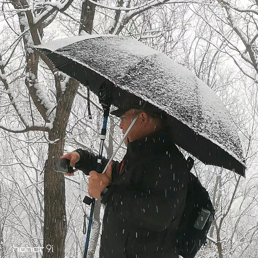 老邮差头像