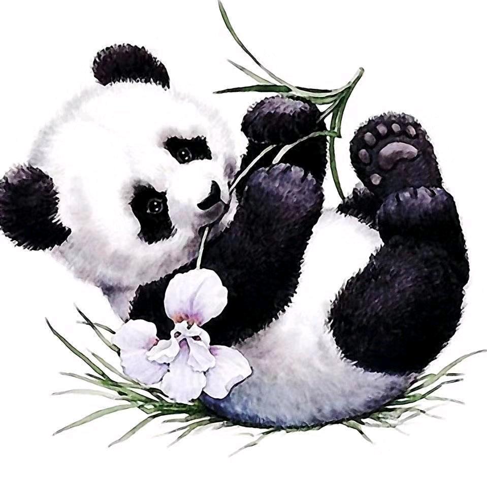 明天会更好