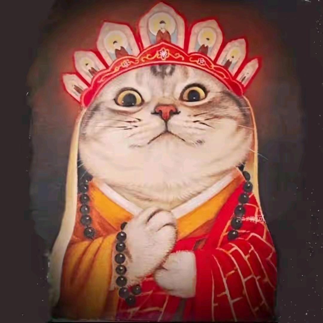 喵～