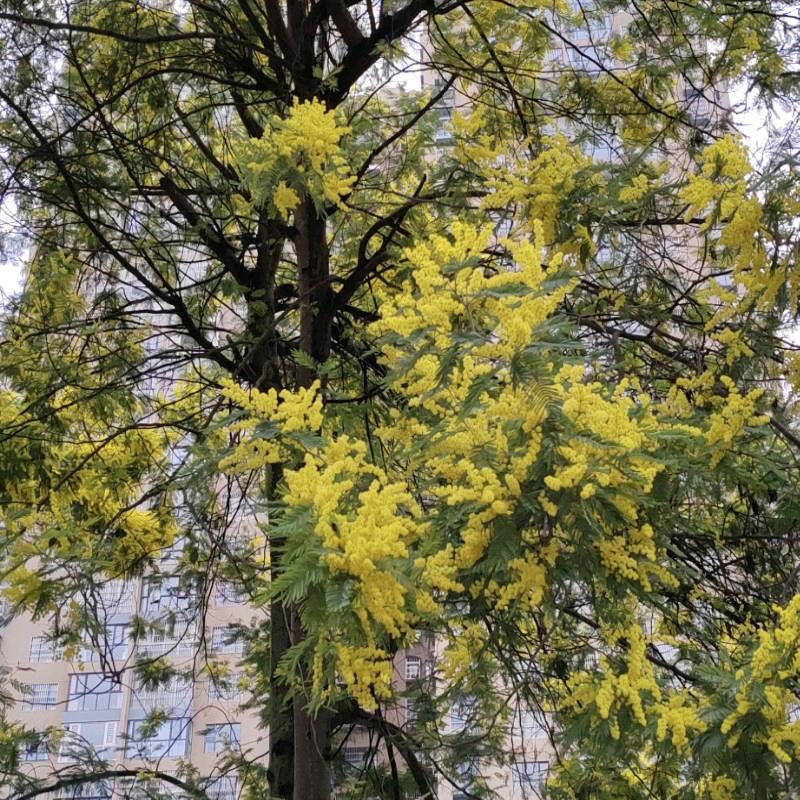 为你❤️停刘