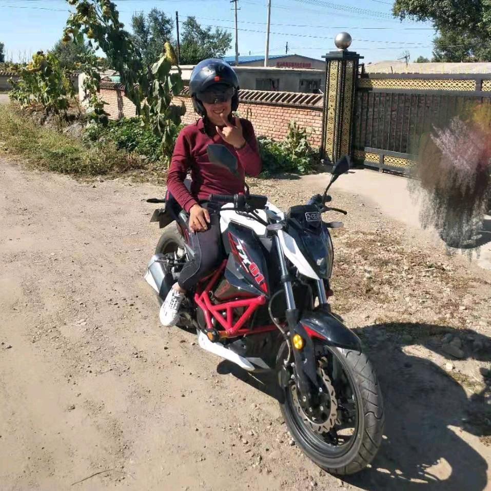 狼行骑士