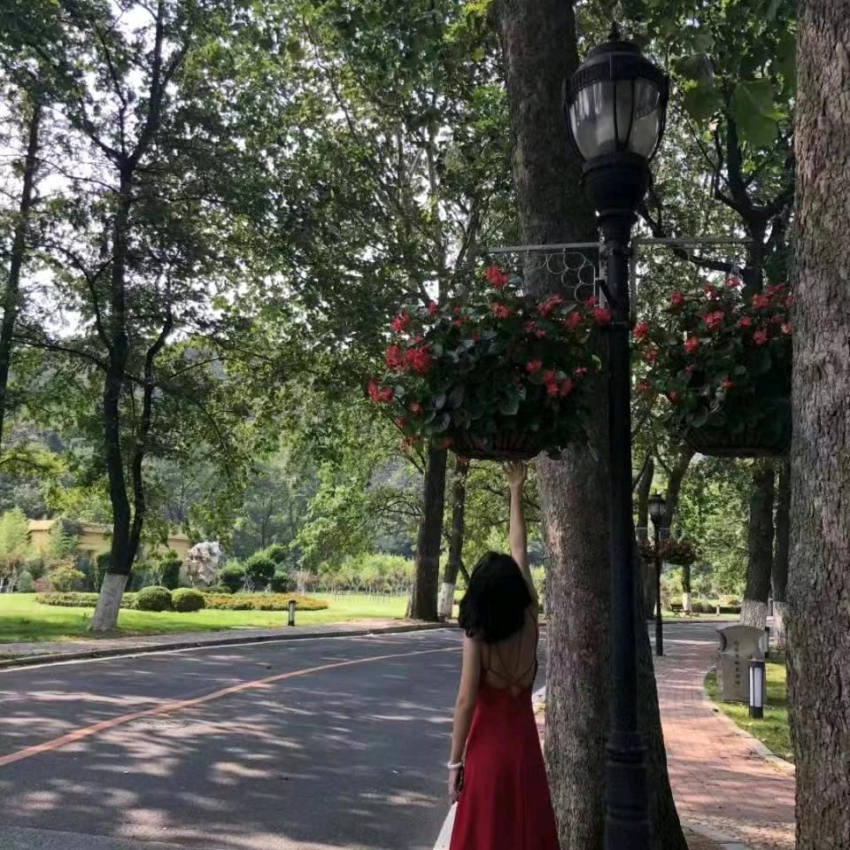 大道啤酒蓬莱店