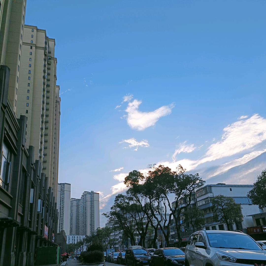 酱酱好物优选