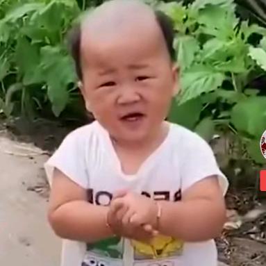 李海青