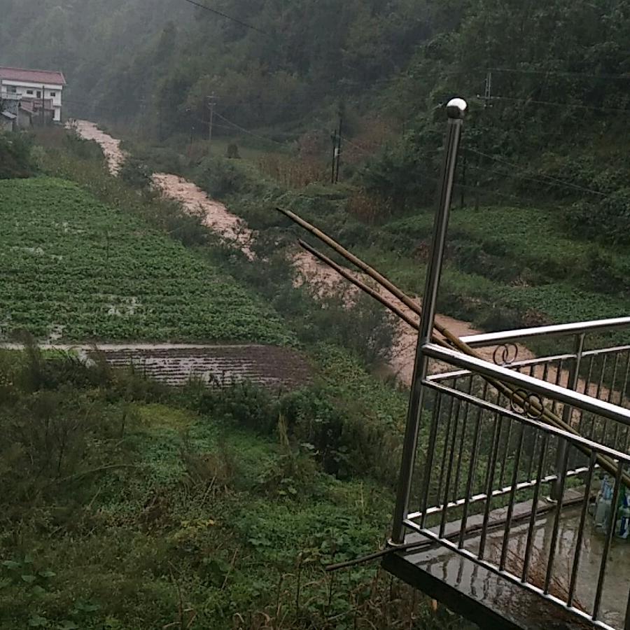 不经风雨怎见彩虹