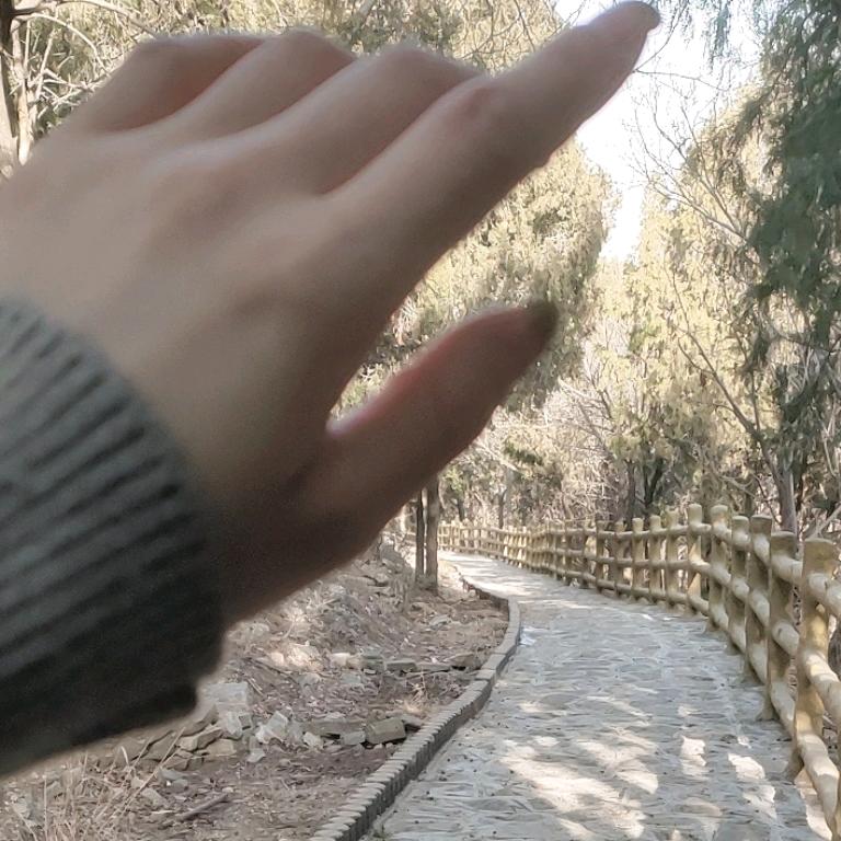 跟着老张炸油条