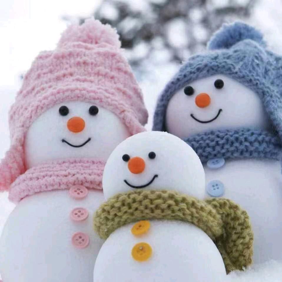 没有风雨 ，那有彩虹