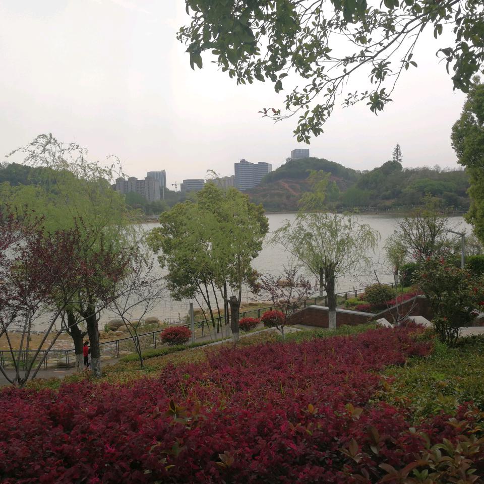 居无定所
