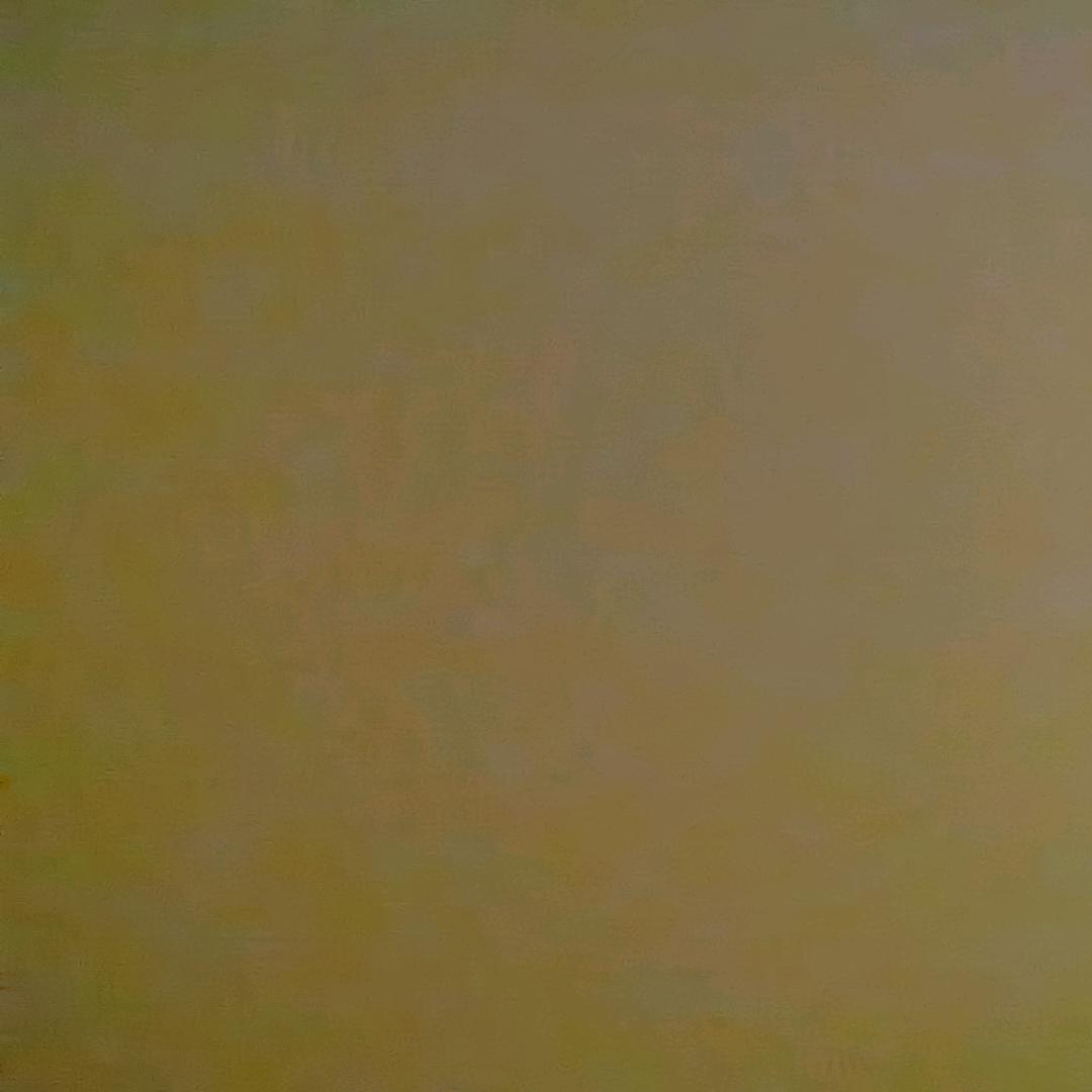 二喜李